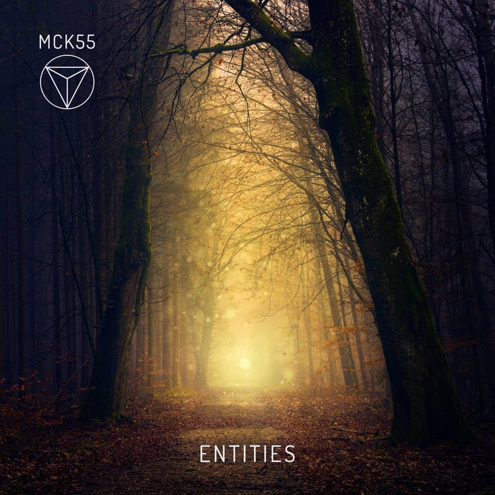 Entities — MCK55